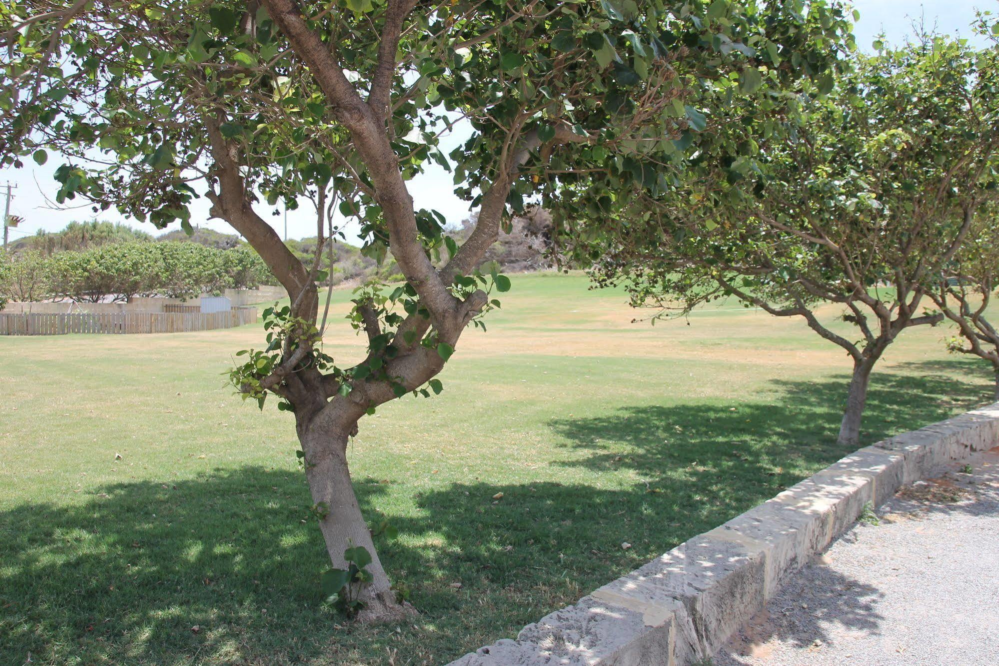 Seaspray Beach Holiday Park Dongara Luaran gambar